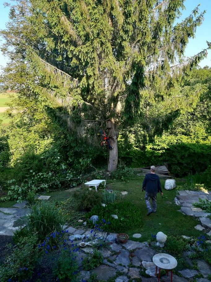 Referenzen - Schriebl Holzschlägerung und Erdbewegung in Lannach Holzschlägerung 