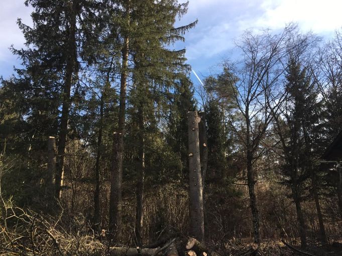 Referenzen - Schriebl Holzschlägerung und Erdbewegung in Lannach Holzschlägerung 