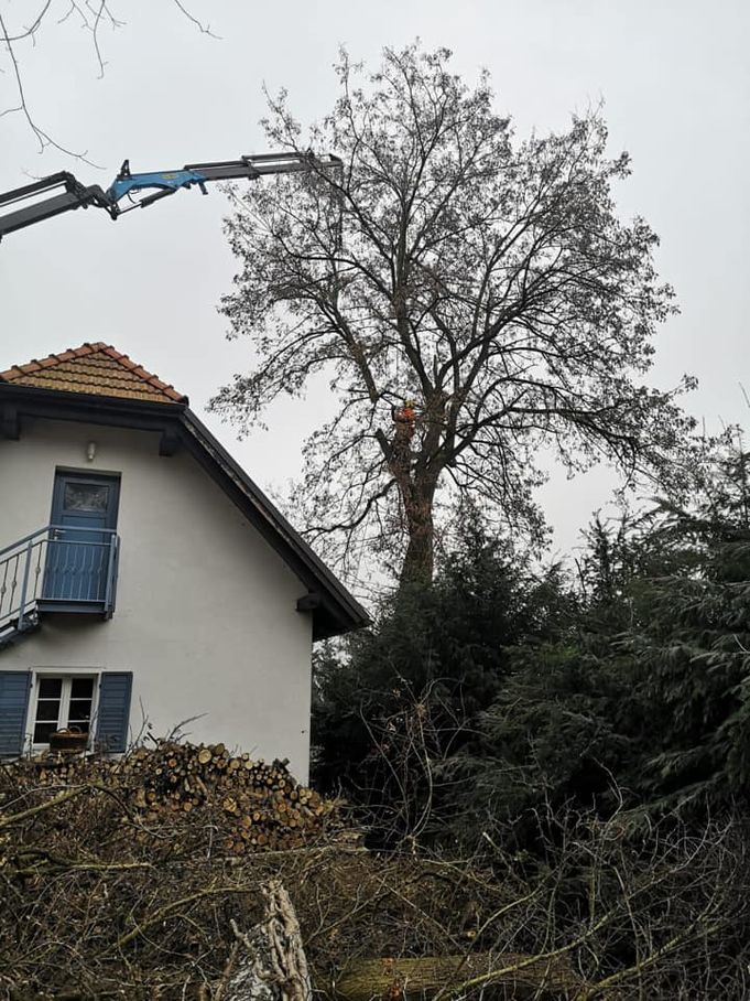 Referenzen - Schriebl Holzschlägerung und Erdbewegung in Lannach Holzschlägerung 