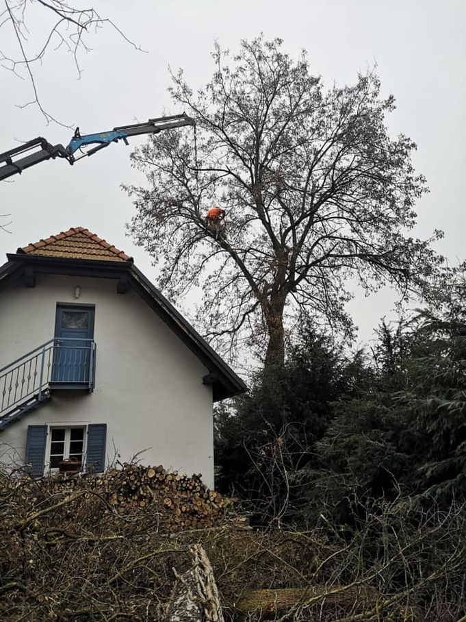 Referenzen - Schriebl Holzschlägerung und Erdbewegung in Lannach Holzschlägerung 