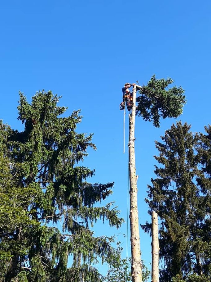 Referenzen - Schriebl Holzschlägerung und Erdbewegung in Lannach Holzschlägerung 