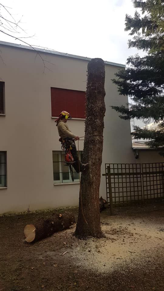 Referenzen - Schriebl Holzschlägerung und Erdbewegung in Lannach Holzschlägerung 