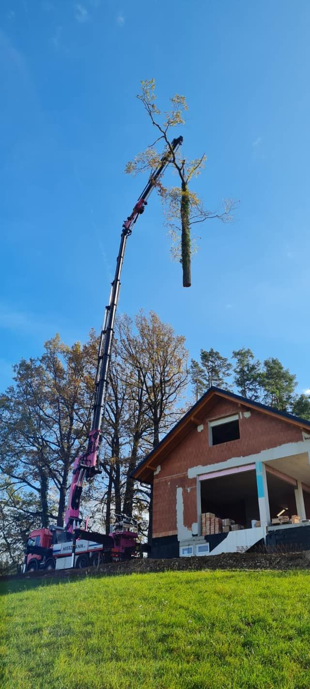 Referenzen - Schriebl Holzschlägerung und Erdbewegung in Lannach Holzschlägerung 