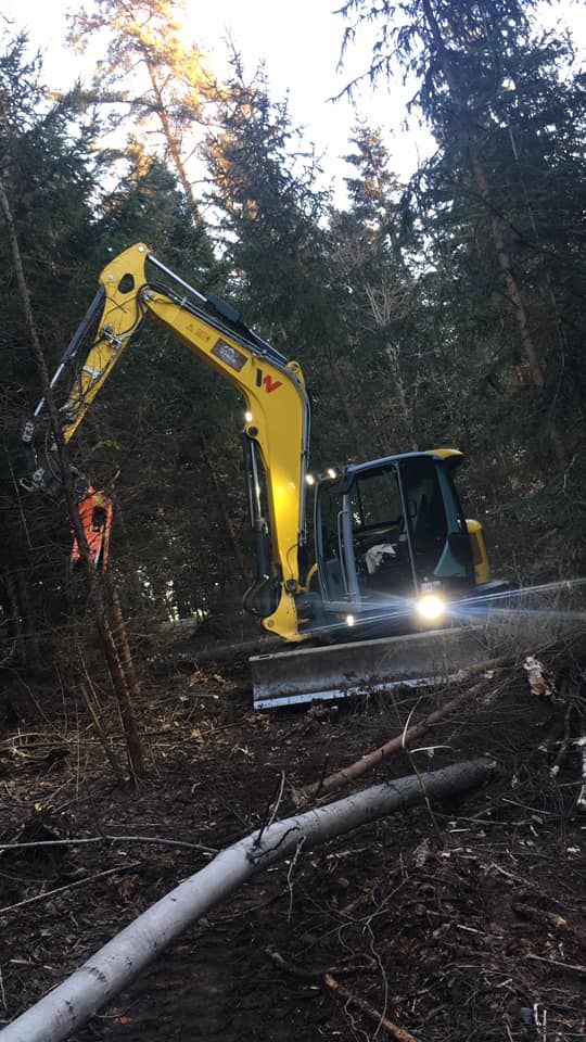 Referenzen - Schriebl Holzschlägerung und Erdbewegung in Lannach Holzschlägerung 