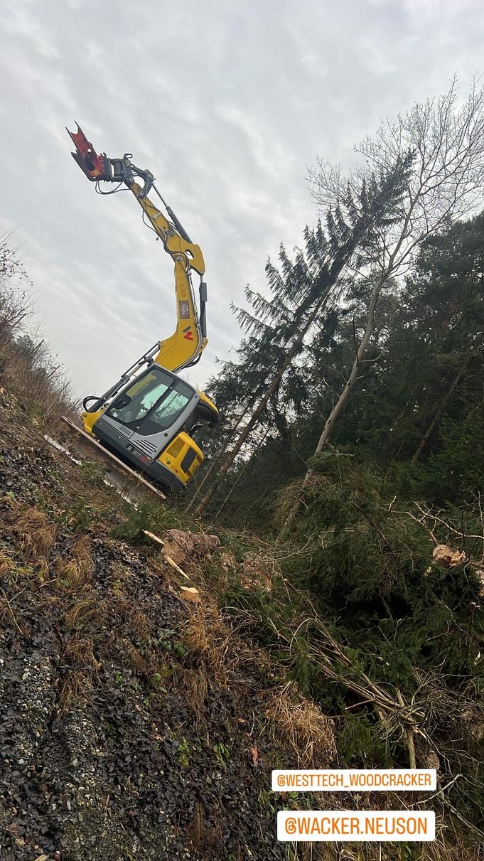 Referenzen - Schriebl Holzschlägerung und Erdbewegung in Lannach Holzschlägerung 